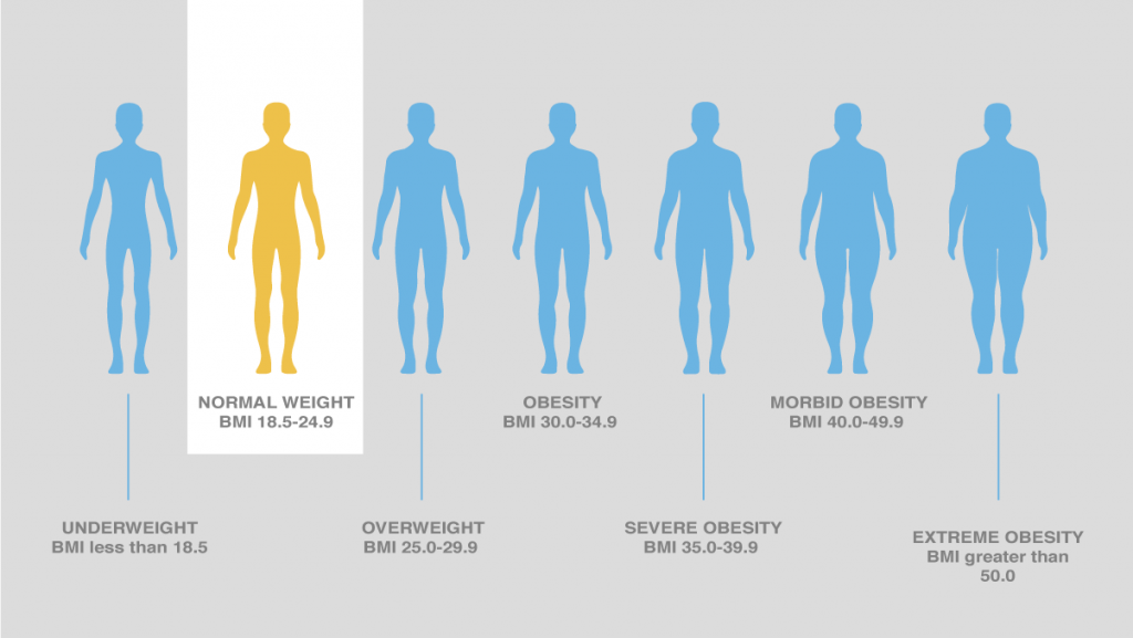 wp content uploads 2020 03 Body mass index 1024x577.png
