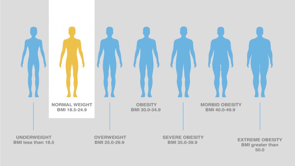 What Is Body Mass Index (BMI) and What Does It Measure?